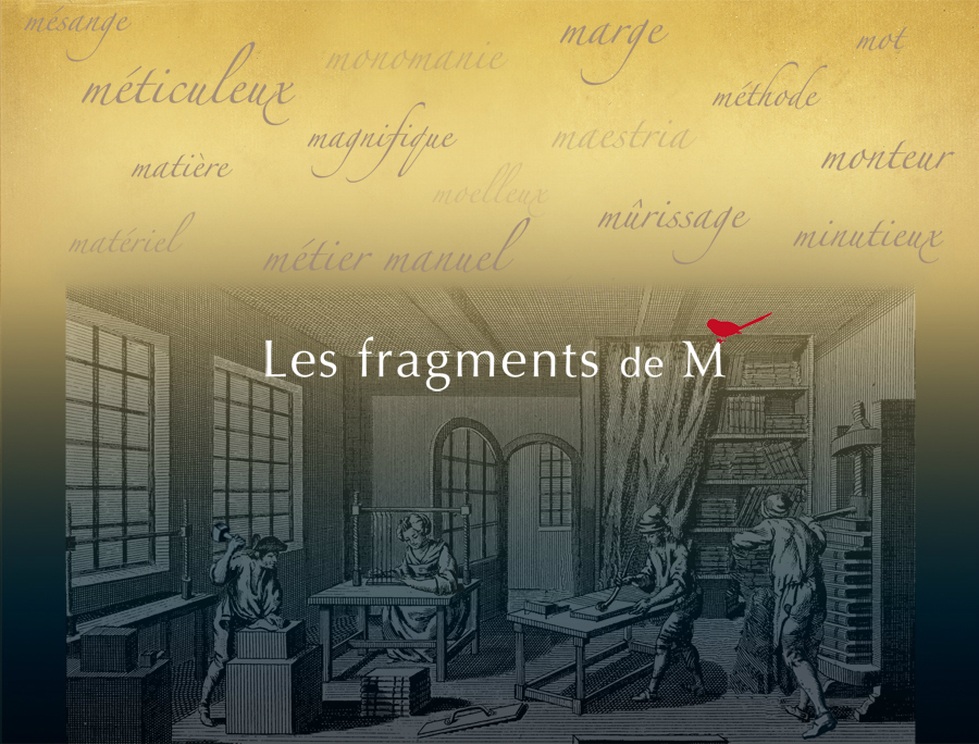 Les fragments de M