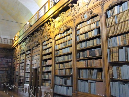 bibliotheque-alancon-2